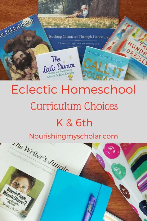 Kindergarten Homeschool Curriculum, Teaching Character, Middle School Counseling, Horse Club, World History Lessons, Homeschool Programs, Homeschool Kindergarten, Education Organization, Homeschool Planning