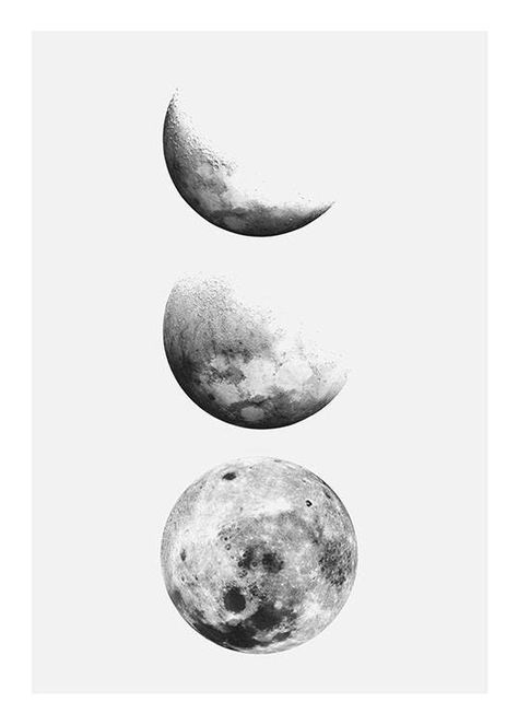 Akvarel Illustration, Groups Poster, Moon Photos, Phases Of The Moon, Moon Illustration, Wallpaper Tumblr, Online Posters, Buy Posters, 背景 シンプル