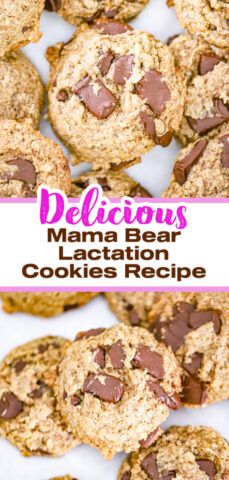 'Mama Bear' Lactation Cookies Homemade Lactation Cookies, Lactation Cookie Recipe, Recipe With Chocolate Chips, Homemade Chocolate Chip Cookies Recipe, Best Vegan Cookies, Lactation Cookies Recipe, Raspberry Oatmeal, Oats Chocolate, Cookie Dough Filling