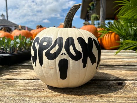 Pumpkin Painting Spider, Clever Pumpkin Painting Ideas, Halloween Pumpkins Painted Aesthetic, Painted Pumpinks Halloween, Marker Pumpkin Decorating, Painting On Pumpkins Ideas Easy, What To Paint On A Mini Pumpkin, Simple Painting Pumpkin Ideas, Pumpkin Painting Small Pumpkins