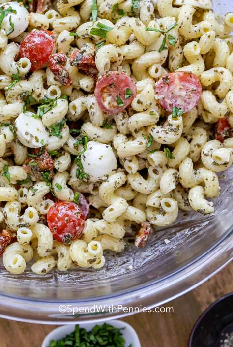 This pesto pasta salad recipes is a fresh favorite! It is loaded with pasta, tomatoes, olives and mozzarella balls and tossed in a tangy vinaigrette! #spendwithpennies #pestopastasalad #coldpastasalad #sidedish #capresepastasalad #pastasaladrecipe Pesto Pasta Salad Recipes, Mozzarella Balls Recipe, Fresh Mozzarella Recipe, Tomato Mozzarella Salad, Avocado Pasta Salad, Mozzarella Balls, Tomatoes Mozzarella, Caprese Pasta Salad, Pasta Al Pesto