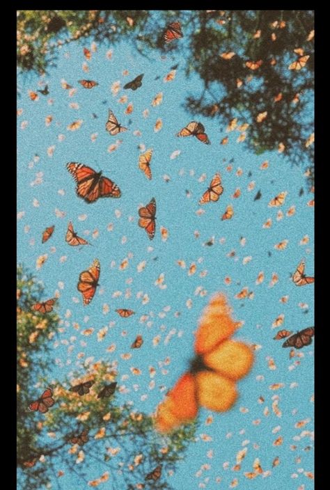 Honey Moon Ideas, Cute Phone Background, Vintage Butterflies, Wallpaper Estetika, L Wallpaper, Background Cute, Wallpaper Retro, Honey Moon, Vibes Wallpaper