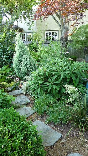 Darcy Daniels' garden. Portland Garden, Oregon Garden, Landscaping Around House, Oregon Landscape, Luxury Garden Furniture, Luxury Garden, Beautiful Cottages, Front Yard Garden, Garden Pathway