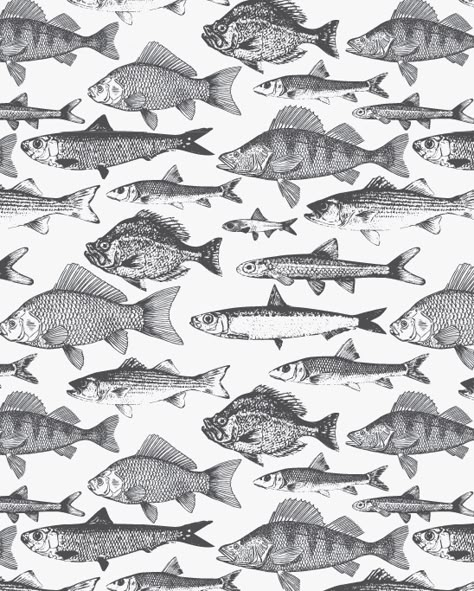 River Fish Wallpaper copyright DMG illustration River Fish Illustration, Fish Art Illustration, Fish Black And White, River Fish, Fish Graphic, Fish Illustration, Dull Colors, Fish Wallpaper, River Fishing