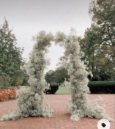 Gypsophila Wedding Arch, Wedding Arch Gypsophila, Babies Breath Arch, White Flower Wedding Arbour, Baby’s Breath Arch Wedding, Ceremony Benches, Pasta Wedding, Baby’s Breath Down Aisle Wedding, Venus Wedding