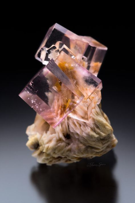 Minerals - Mineral Masterpiece Crystal Seashells, Magic Stones, Fine Minerals, Cool Rocks, Mineral Stone, Minerals And Gemstones, Rocks And Gems, Natural Minerals, Gems And Minerals