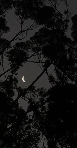 Moon Videos, Scary Photography, Old Paper Background, Sky Photography Nature, Moon Pictures, Dark Pictures, Moon Photography, Aesthetic Photography Grunge, Beautiful Landscape Wallpaper