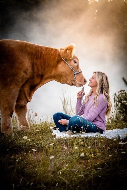 Steer Senior Pictures, Senior Pictures With Steer, Steer Photoshoot, Livestock Show Outfits Cattle, Senior Pictures With Cattle, Cow Photoshoot Picture Ideas, Senior Picture Ideas Cows, Senior Pictures With Animals, Senior Picture Ideas With Cows