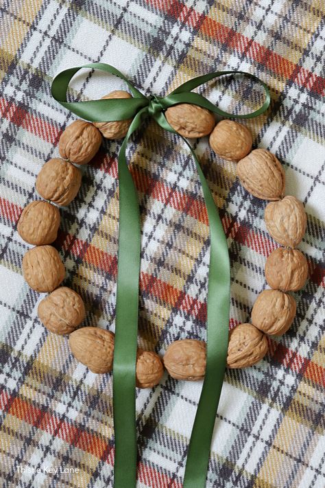 Easy DIY Walnut Wreath - Make this simple wreath with walnuts, wire and ribbon for a pretty autumn, holiday or winter decoration. Walnut Wreath Diy, Walnut Decoration Christmas, Walnut Crafts Christmas, Walnut Shells Craft, Walnut Diy Crafts, Nuts Decoration Ideas, Walnut Ornaments Diy, Walnut Crafts Diy Projects, Handmade Autumn Decorations