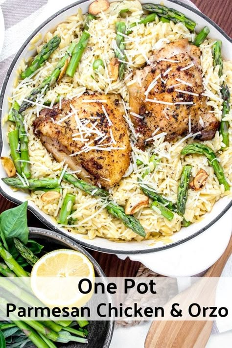 Braised Recipes, Creamy Parmesan Orzo, Carnivore Ideas, Chicken And Orzo, Renal Recipes, Parmesan Orzo, Orzo Recipes, Chicken Orzo, Chicken Asparagus