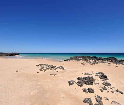 Kimberleys Western Australia, Shark Bay Western Australia, Bunbury Western Australia, Albany Western Australia, Western Australia Beach, Moving To Australia, Beach Bum, Western Australia, Australia