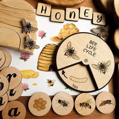 Life Cycle Montessori, Sunflower Life Cycle, Chicken Life Cycle, Bee Life Cycle, Wooden Bee, Wooden Educational Toys, Bee Toys, Butterfly Life Cycle, Sequence Of Events