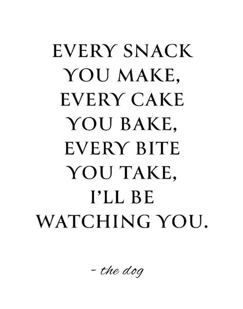 Funny Dog Quote Print, Every Snack You Make, Printable Kitchen Wall Art, Digital Download, Funny Kitchen Gift, Dog Home Decor, Dog Mom Gift Snack Quotes Funny, Funny Dog Mom Quotes, Dog Mom Quotes Humor, Snacking Quotes, Printable Kitchen Wall Art, Funny Dog Signs, Dog Mom Quotes, Eating Quotes, Kitchen Wall Art Printables