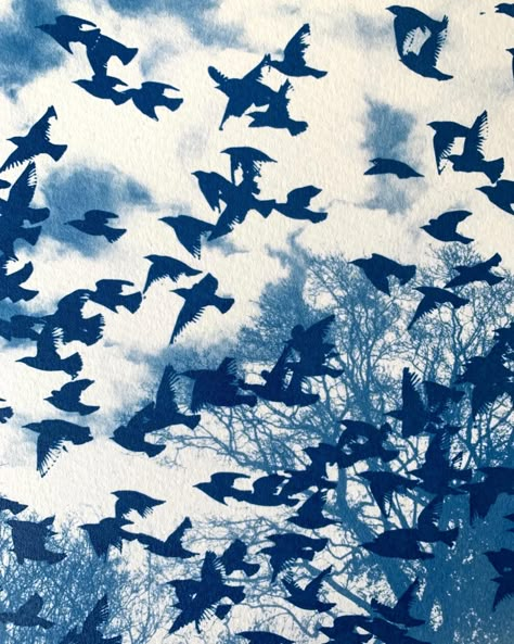 A #throwbackthursday to my double exposure tea toned cyanotype experiments from last year. I plan to revisit this imagery soon, but maybe using a new (to me) process . . . . . . #cyanotype #doubleexposure #starlings #murmuration #teatone Photography Blue Aesthetic, Double Exposure Cyanotype, Cyanotype On Fabric, Toned Cyanotype, Blue Cyanotype, Cyanotype Ideas, Cyanotype Photography, Cyanotype Art, Murmuration Art