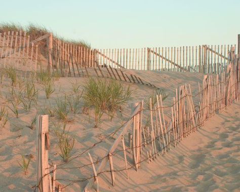 Sunset on Race Point Beach - New England Today (Provincetown) Race Point Beach, Boston Massachusetts, On The Horizon, The Horizon, Cape Cod, The Light, Massachusetts, New England, Boston