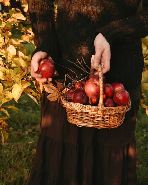 Ellen Tyn, Pagan Celebrations, Equinox Ritual, Earth Magick, Vsco Nature, Thanksgiving Time, Autumn Sun, Autumnal Equinox, Witch Garden