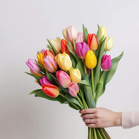 British tulips are back in season, bringing a pop of colour to these darker days! 🌷❄️ Locally grown and full of charm, these winter tulips remind us that spring isn’t too far away. Order online with Free Next Day delivery 💫 #BritishTulips #WinterFlowers #SeasonalFlowers #Tulips #Autumn #AutumnFlowers #FlowerDelivery #Flowers Colourful Tulips, Flower Farms, Bouquet Of Tulips, Pretty Bouquet, Long Vase, Prettiest Bouquet, British Flowers, Flower Food, Chic Gifts