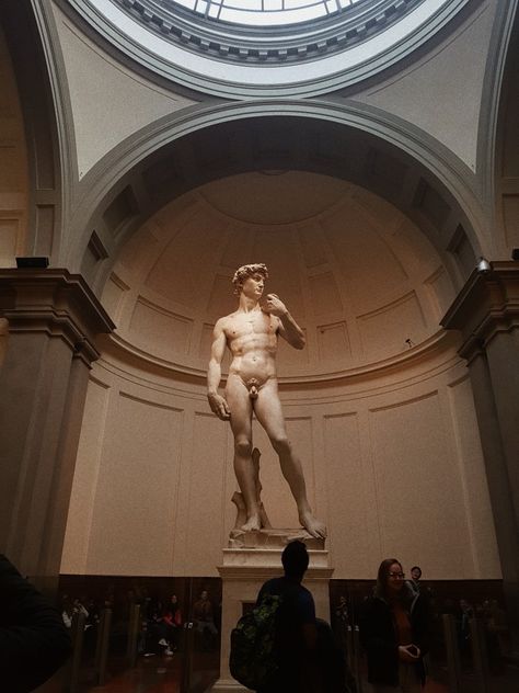 Statue Of David Aesthetic, David Michaelangelo, Statue Of David Tattoo, Sculpture Of David, The Statue Of David, Dorm Pictures, Michelangelo Paintings, Statue Of David, Michelangelo's David