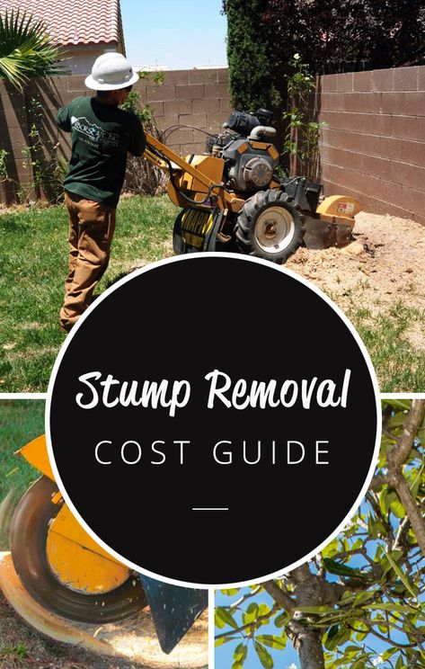 Visit this page for more information and pricing on the cost of stump removal and grinding by a professional.  #stumpgrinding #stumpremovalcost Stump Grinding, Stump Grinder, House Repair, Stump Removal, Easy Diy Hacks, Tree Removal, Fibre Optics, Tree Service, Willow Tree