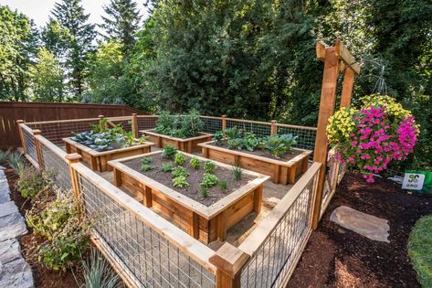 Raised Garden Bed Builders in Vancouver, WA - GRO - Landscaping & Remodeling More Fruits And Vegetables, Healthy Fruits And Vegetables, Steel Siding, Weathering Steel, Classic Garden, Landscaping Supplies, Wood Siding, Soil Health, Corten Steel