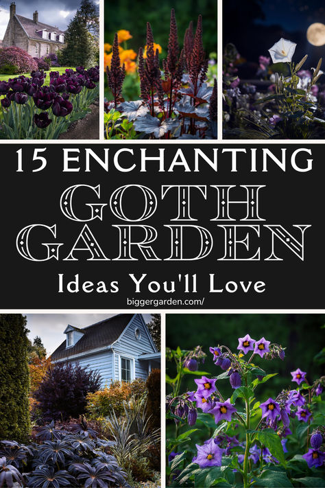 A garden with dark plants featuring gothic flowers perfect for a goth garden aesthetic. Outdoor Altar Witch Garden, Goth Front Yard, Goth Garden Plants, Goth Garden Design, Gothic Garden Decor, Goth Greenhouse, Overgrown Garden Aesthetic, Goth Garden Ideas, Witch Garden Aesthetic