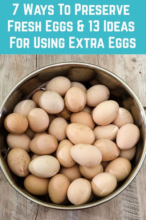 Chicken Egg Storage Ideas, Ways To Use Eggs, Egg Preservation, Ways To Preserve Eggs, Use Up Eggs, Things To Do With Eggs, Extra Eggs What To Do With, Recipes To Use Up Eggs, What To Do With Excess Eggs