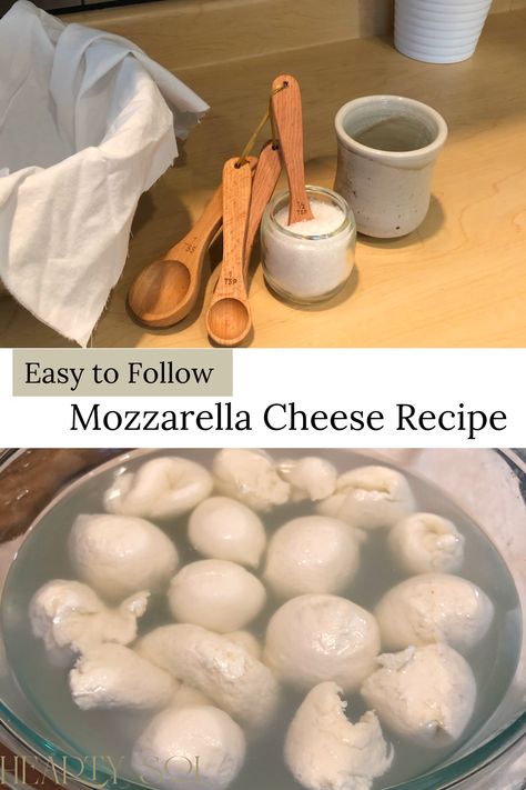 The outcome of this homemade mozzarella cheese recipe is so delicious and perfectly savory! You’ll want to make it for everyone you know! Cheese making can be easier than you think – even on the first try! #mozzarellacheeserecipe #homemadecheese #mozzarellacheese #cheeserecipe #homemade Mozzarella Cheese Recipe, Mozarella Cheese Recipe, Munster Cheese, Make Mozzarella Cheese, Homemade Mozzarella Cheese, Recipes With Mozzarella Cheese, Cheese Recipes Homemade, Kinds Of Cheese, Homemade Cheese