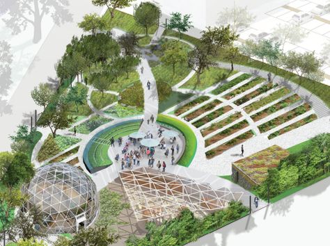 Community Park Design, Landscape Architecture Plan, Plaza Design, Urban Agriculture, Food Hub, Community Garden, Community Park, Urban Park, Green Architecture