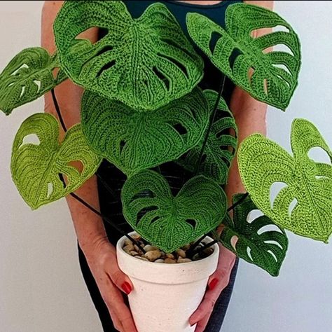 Free Monstera Crochet Pattern, Crocheted House Plants, Crochet Plants Free Pattern Monstera, Crochet Spider Plant Free Pattern, Monstera Plant Crochet Pattern, Crochet Houseplants Free Pattern, Crochet House Plants Patterns Free, Monstera Crochet Pattern Free, Monstera Plant Crochet