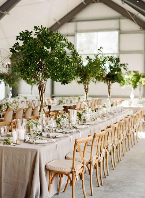 Centerpieces We Love | Today's Bride Green Wedding Centerpieces, Cheap Wedding Table Centerpieces, Tree Wedding Centerpieces, Summer Wedding Centerpieces, Greenery Wedding Centerpieces, Beautiful Wedding Centerpiece, Green Centerpieces, Greenery Wedding Decor, Tall Wedding Centerpieces