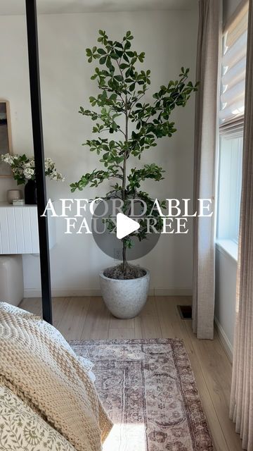 Alli Havrilla on Instagram: "✨YOU GUYYYYSS!!!! ✨

This tree is 7’ tall and under $80 🤯🤯🤯 If you have an empty corner in your home, this black olive tree is PERFECT!!! I just can’t get over how high end it looks 😍😍

Comment SHOP for a link!!

OTHER WAYS TO SHOP:
1. Click the link in my bio and head to my Amazon storefront 
2. Follow me on the @shop.ltk app to shop my home and all these amazing finds
3. Click my stories and find this post for a link!

Thank you again for always supporting me and my account! It truly means the world to me!

Spring florals | stems | vase | floral arrangements | home decor | faux florals | faux black olive tree

#homedecor #homedesign #interiordesign #interiordesign #amazonhome #amazonmusthaves" Vase Floral Arrangements, Gallery Wall Neutral, Cabinet Styling, Black Olive Tree, Transitional Home Design, Link Modern, Amazing Finds, Spring Florals, Black Vase