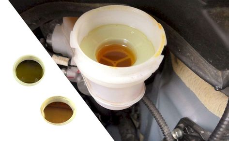 What color should brake fluid be? The brake fluid color tells a lot about your vehicle so you must pay close attention. The post A Comprehensive User Guide to Brake Fluid Color appeared first on Curate View. Brake Pedal, Brake Fluid, User Guide, Quick Saves, Color