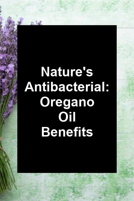 Nature's Antibacterial: Oregano Oil Benefits Oregano Oil Antibiotic Recipe, Oregano Olive Oil Antibiotic, Benefits Of Oregano, Oregano Oil Benefits, Natural Medicine Cabinet, Grow Shop, Indoor Grow, Balance Hormones Naturally, Oregano Oil