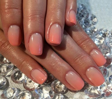 Salmon Ombre Nails, Nails For Coral Dress, French Coral Nails, Peach Ombre Nails Short, Coral Ombre Nails Summer Short, Milky Coral Nails, Fall Coral Nails, Simple Coral Nails, Ombre Nails Coral