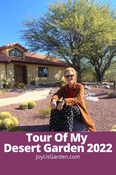 Arizona Garden, Desert Gardening, Arizona Gardening, Indoor Plant Care, Desert Garden, Arizona Desert, Sonoran Desert, Garden Tours, A Work In Progress