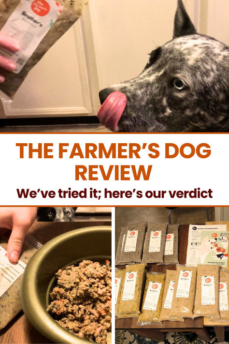 We've tried The Farmer's Dog food and put it to the test. Check out our honest review of this fresh dog food brand. Diy Farmers Dog Food, Farmers Dog Food, The Farmers Dog, Farmers Dog, Fresh Dog Food, Best Dog Food Brands, Dog Food Brands, Dog Diet, Dog Nutrition