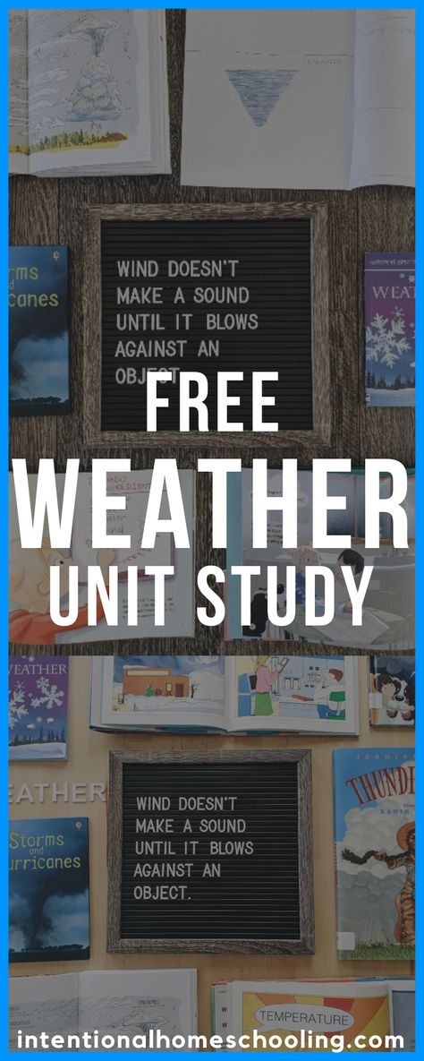 Weather Unit Study Elementary, Cloud Unit Study, Homeschool Weather Unit, Weather Unit Study Homeschool, Seasons Unit Study, Free Weather Printables, March Preschool Themes, Season Drawing For Kids, Weather Unit Preschool