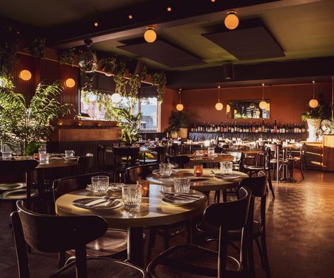 Si Paradiso, Perth: restaurant review | Gourmet Traveller Grilled Courgette, Pickled Green Tomatoes, Parquetry Floor, Grilled Squid, Buffalo Mozzarella, Table Number Holders, Grey Dining Room, Casual Dining Rooms, Timber Panelling