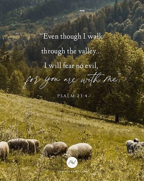 Sheep Scripture, Great Are You Lord, Ann Voskamp, Christian Memes, Psalm 23, Saved By Grace, Walk By Faith, Gods Promises, Religious Quotes