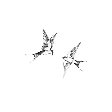 Tattoo Ideas Swallows, Swallow Tattoo Design Drawing, Fineline Sparrow Tattoo, Two Birds Tattoo Design, Swallow Bird Tattoo Design, Small Mockingbird Tattoo, Minimalist Swallow Tattoo, Minimalist Sparrow Tattoo, Three Swallows Tattoo