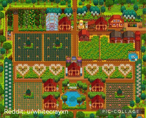 Stardew Cute Farm, Sdv Standard Farm Design, Stardew Valley Farm No Mods, Stardew Standard Farm Ideas, Stardew Valley Beehive Heart, Standard Farm Design Stardew Valley, Stardew Valley Early Farm Layout, Stardew Valley Farm Layout Co-op, Stardew Valley Standard Farm Layout Year 2