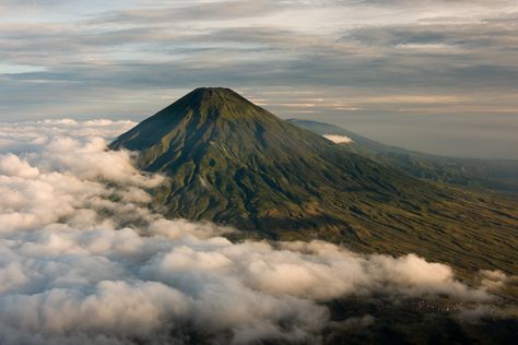 Mount Rainier, Beautiful Gardens, Philippines, Natural Landmarks, Photography, Travel, Anime, Quick Saves, Nature