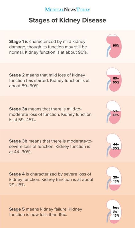 Kidney Healthy Foods, Kidney Friendly Recipes Renal Diet, Food For Kidney Health, Acute Kidney Injury, Polycystic Kidneys, Kidney Pain, Creatinine Levels, Healthy Kidneys, Kidney Diet