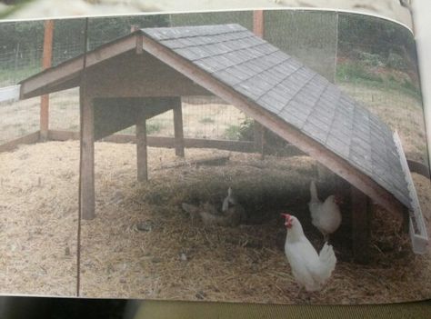 Easy Chicken Shelter, Chicken Shelter Ideas, Large Covered Chicken Run Ideas, Chicken Hospital Pen, Chicken Shelter From Rain, Chicken Run With Roof, Chicken Shelter, Sheep Shelter, Chicken Fence