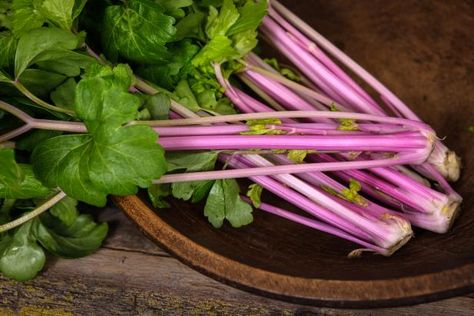 Chinese Pink Celery How To Grow Celery, Grow Celery, Spicy Stir Fry, Rich Garden, Growing Celery, Urban Rooftop, Rare Seeds, Celery Seed, Bubble Gum Pink