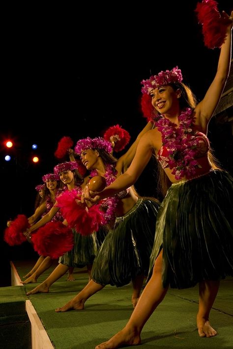 Go to a luau dance celebration #onlyinhawaii Hawaiian Buffet, Hawaiian Games, Hawaii Festival, Oahu Luau, Luau Dance, Hawaiian Music, Paradise Cove, Hawaiian Vacation, Hawaii Luau