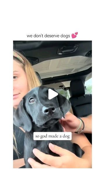 Labrador Retrievers 🐾 on Instagram: "dogs are the best. they are and should be part of the family  Courtesy of @tuesdayswmorrie on tiktok )  ▶️Join our @ilovelabra community 💥 to enjoy Daily Dose of Labrador Cuteness 💞 💘 Use our #ilovelabra and tag us in your post to get featured.   DM for credit or removal request (no copyright intended) ©️ All rights and credits reserved to the respective owner(s)  • • •  #labrador #labradorretriever #labradorpuppy #labradorlove #labradoroftheday #labradorable #labradorsofinstagram #labradors  #labradorretrievers #labradorworld #labrador_lovers #labrador_feature #labradorofinstagram #labsofinstagram #labsofinsta #labradoroftheday #labradorlove #labradorlove #lablove #labpuppy #laboftheday #labstagram #chocolatelab #blacklab #yellowlab #yellowlabrador Cute Labrador Puppies, Cute Lab Puppies, Australian Slang, Dogs Are The Best, Dog Poems, Cute Animal Quotes, Labrador Funny, Dog Remedies, Shepherd Mix Dog