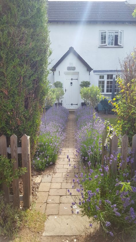 Cottage Garden Entrance, Path To Front Door Cottage, Front Garden Ideas Cottage, English Cottage Garden Fence, Cottage Front Garden Uk, Cottage Hardscaping, Cottage Garden Picket Fence, Front Garden Picket Fence, Front Garden Lavender