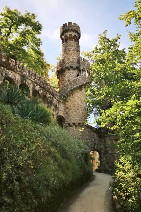 Sintra - Portugal's village of fairytale castles - This Wild Life Of Mine - travel and wildlife blog Portugal Vacation, Portuguese Culture, Sintra Portugal, Senior Trip, Overseas Travel, Fairytale Castle, Portugal Travel, Spain And Portugal, Lisbon Portugal