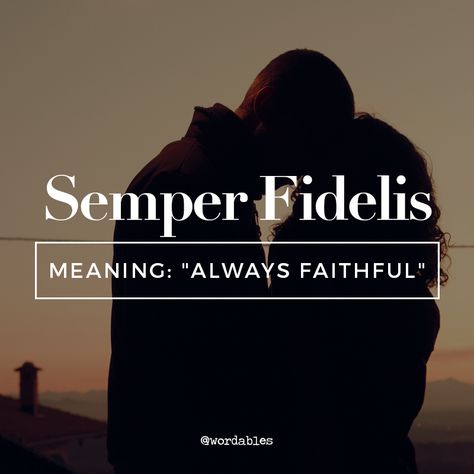 semper fidelis Semper Fidelis Quotes, Latin Quotes, Semper Fidelis, Latin Language, Beautiful Meaning, Latin Phrases, Language Quotes, Motivational Quotes For Students, Italian Quotes